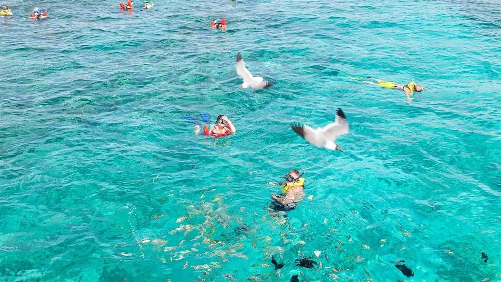 The Marlin At Taino Beach Resort Freeport Bagian luar foto